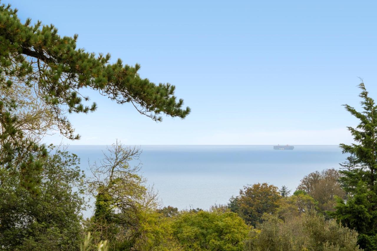 Stunning Sea View Whole Home In Torbay Close To Beach Torquay Zewnętrze zdjęcie